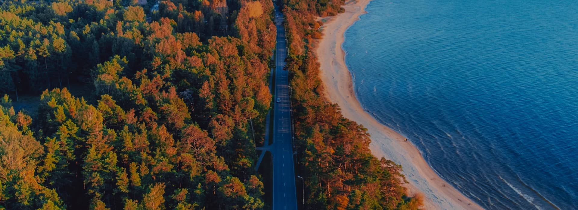 可持續(xù)發(fā)展